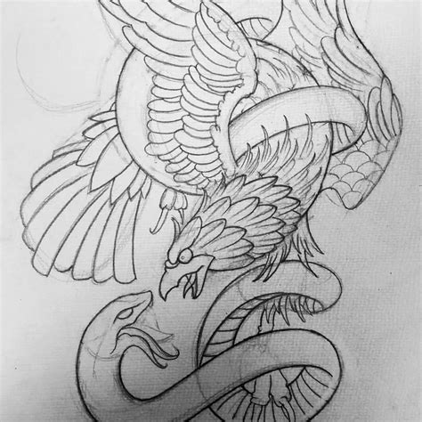 Eagle Drawing Outline at PaintingValley.com | Explore collection of ...