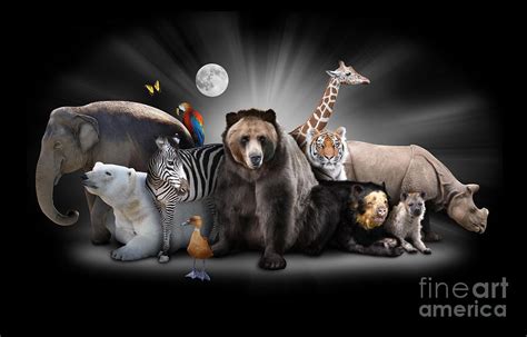 Zoo Animals At Night With Black Background Photograph