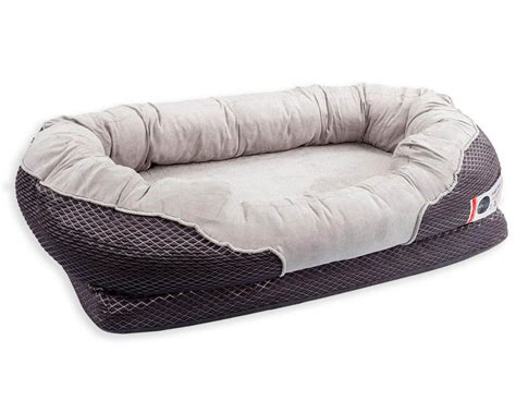 12 Best Orthopedic Dog Beds for Arthritis - Hey, Djangles.