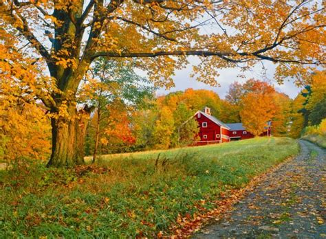 Beautiful Autumn Barn Photos - Fall Foliage Pictures