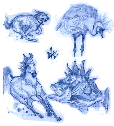 melmade the blog (the one I update ): Surprise! Blue pencil sketches...