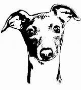 Whippet Clipart Greyhound Clip Outline Coloring Dog Greyhounds Line  sketch template