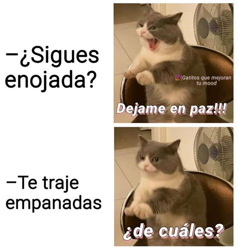 ¿De cuales? | Imágenes graciosas, Humor divertido sobre animales ...