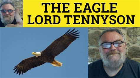 🔵 The Eagle Poem by Alfred Lord Tennyson - Summary Analysis Reading - The Eagle Alfred Lord ...