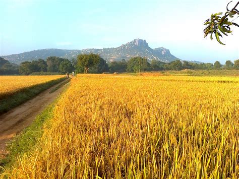 Madanapalle Photo by venkateswara | 7:33 am 14 Dec 2011