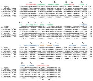 Crystal structure of the 3C protease from Southern African Territories type 2 foot-and-mouth ...