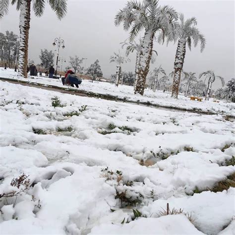 Snow in Rafha, Saudi Arabia video and pictures - Strange Sounds