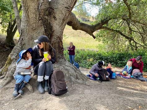 Peninsula - School Year 2023-2024 — Tiny Treks Outdoor Classes