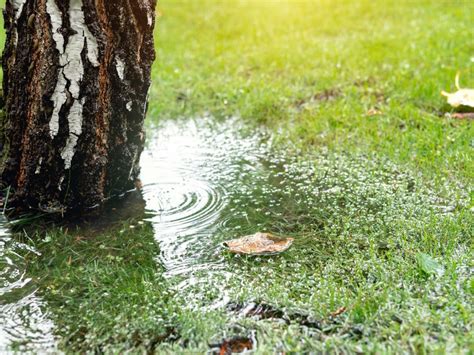 Stormwater Runoff Solutions To Stop Flooding In Your Yard