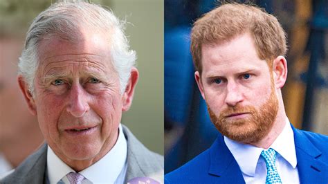 Prince Harry, Prince Charles Relationship 2021: Where They Stand now | StyleCaster