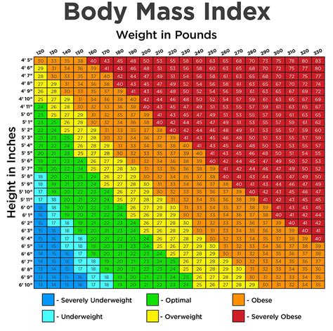 Bmi Chart In Color | Hot Sex Picture