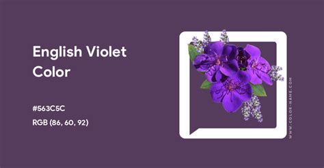 English Violet color hex code is #563C5C