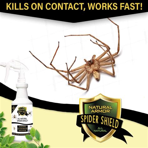 Spider Killer & Repellent Spray - Powerful Peppermint Formulation Kills & Repels All Types of ...