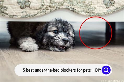 5 Best Under-the-Bed Blockers For Pets (2024) Plus DIY - OodleLife®