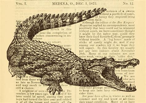 Crocodile Vintage Illustration Free Stock Photo - Public Domain Pictures