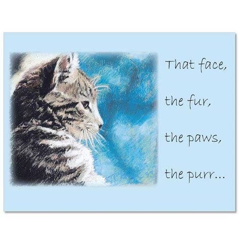 S201 Fixed-Message Cat Sympathy Card - Veterinary Wisdom