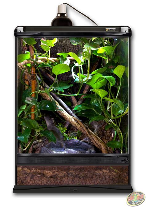 12x12x18 Zoo Med Terrarium designed as a forest habitat. DIY this ...