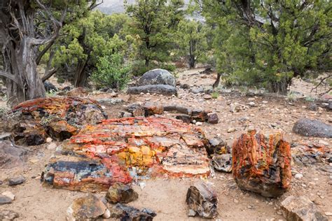 Escalante Petrified Forest State Park