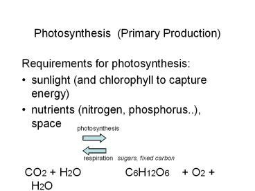 PPT – Photosynthesis (Primary Production) PowerPoint presentation | free to download - id: 6d973 ...