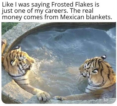 Tony The Tiger Is Diversified : r/memes