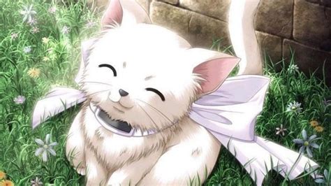 Wallpaper Anime Cute 63+ Best images Full HD - Ultra HD | Animation animaux, Anime, Bijoux ambre