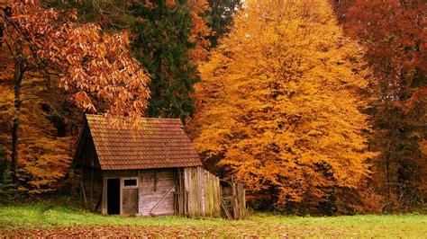 🔥 Download The Cabin In Autumn Woods HD Wallpaper by @nicholasvilla | Cottage in the Woods ...