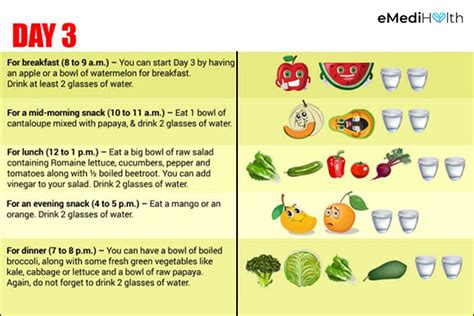 The Truth About General Motors (GM) Diet Plan - eMediHealth