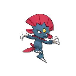 Weavile Pokédex: stats, moves, evolution & locations | Pokémon Database