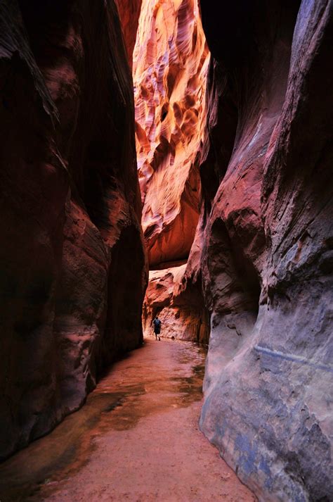 Buckskin Gulch | Arizona hiking, Utah travel, Arizona travel