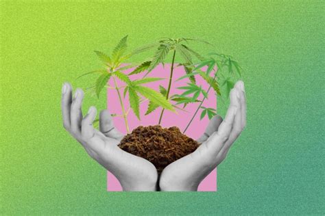 Why Growing Marijuana in Your Middle-Age Can Bring You Mindfulness - The Frisky