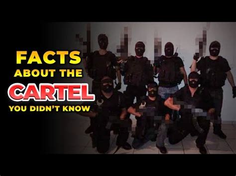 26 Facts about cartel you didn't know (2023) - YouTube