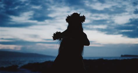 Hula Dancer Silhouette Stock Video Footage - 4K and HD Video Clips | Shutterstock