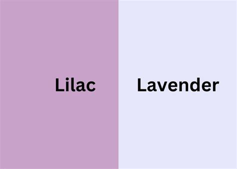 Lilac Color Vs Lavender Comparison [11 Key Differences]