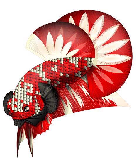 Betta Fish Logo Png Red Clipart Betta Fish Red Betta Fish | The Best ...