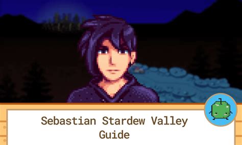 Sebastian Stardew Valley Guide - SDew HQ