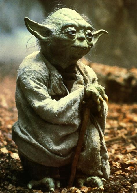 Monsters & Beasts Database: YODA (Star Wars)