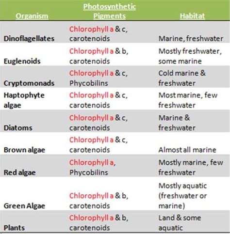 Studying Photosynthetic Pigments Using TLC Strips to Determine Evolutionary Relatedness Between ...