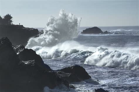 King tides and big waves, Shore Acres, Oregon coast - a photo on Flickriver