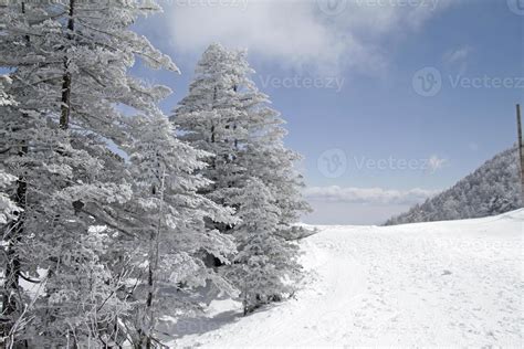 In the snowy mountains near Kusatsu Onsen, Japan 8738095 Stock Photo at ...