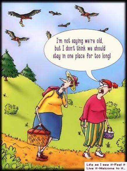 Growing Old | Funny jokes for adults, Funny cartoon pictures, Old age humor