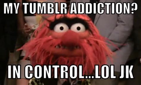 Animal Muppet Quotes. QuotesGram