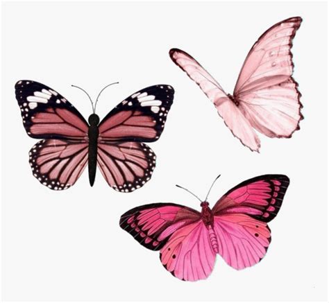 Butterfly, Cyber, And Overlay Image - Pink Butterfly Aesthetic, HD Png Download , Transparent ...