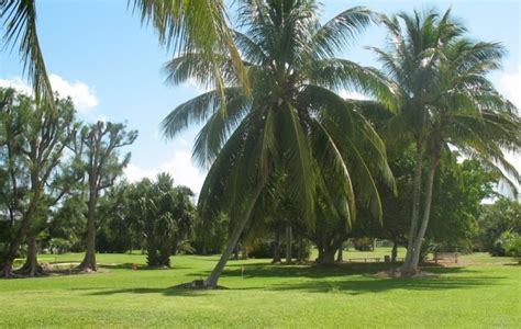 The Florida Golf Course Seeker: Key Colony Beach Golf Course