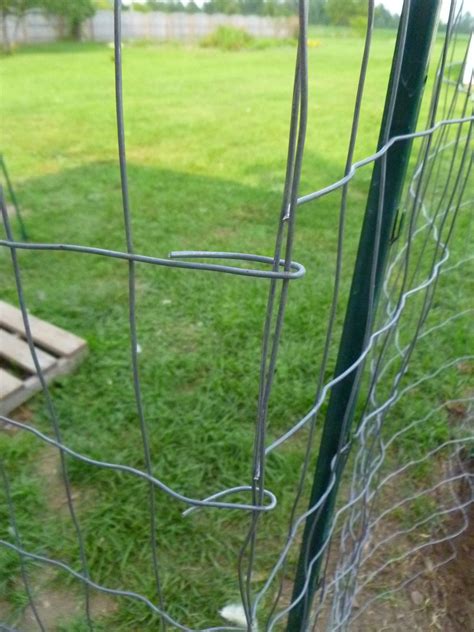 Field fencing & t-post gates | BackYard Chickens - Learn How to Raise ...