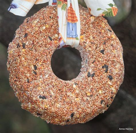 BIRD SEED WREATH :: Susan S's clipboard on Hometalk | Bird seed wreath ...