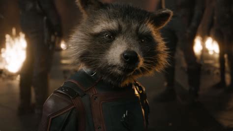 12 Fakta Rocket Raccoon GotG, Sang Penembak Jitu yang Cerdas