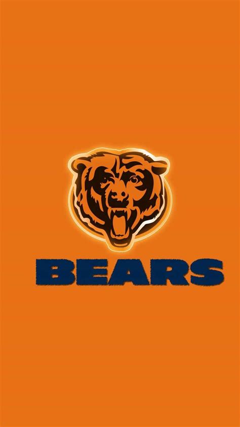 HD Bears Wallpaper - iXpap