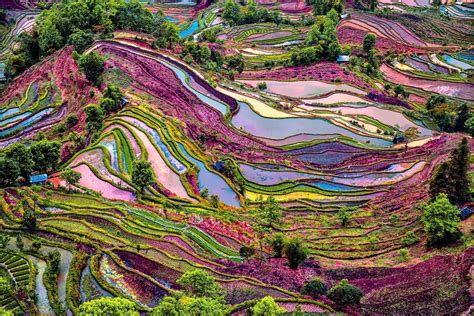 Yuanyang, Yunnan Province, China | Paysage, Paysages du monde, Belle photo