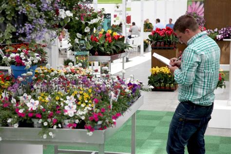 Syngenta | Flowers, Pelargonium, Begonia