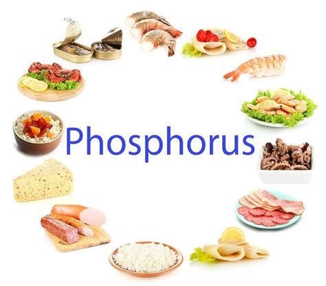 Phosphorus can be found in all the foods above and makes up 1% of a persons total weight. it ...